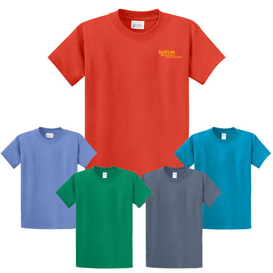 Port & Company  6.1 oz. T-Shirt (Color)