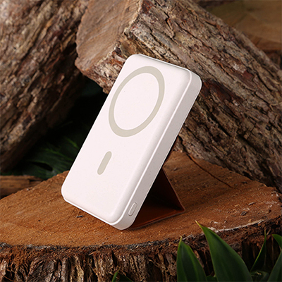 TerraTone™ Powerbank & Wireless Charger